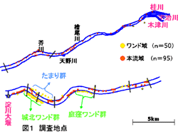 図１　調査地点地図