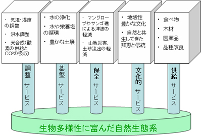 生物多様性と生態系サービスのイメージ