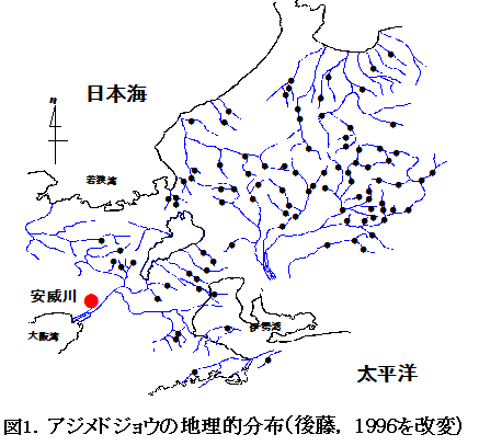 図1.アメドジョウの地理的分布