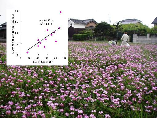 緑肥作物（レンゲ）の生育に応じた水稲の適正施肥技術の確立