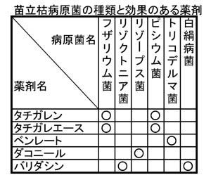 苗立枯病原菌の種類と効果のある薬剤