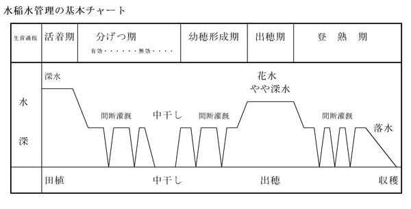 水稲水管理の基本チャート 