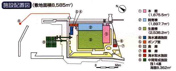 施設配置図