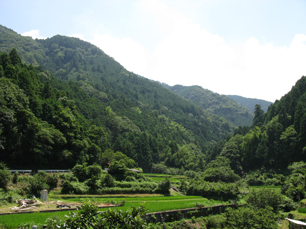 生きている化石ムカシトンボや天然記念物ブナ林の生育する和泉葛城山地