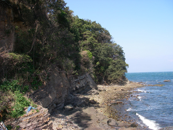 小島自然海浜保全地区の豊国崎 