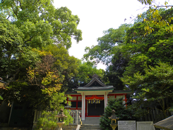 府指定天然記念物の寝屋川市春日神社のシイの社叢