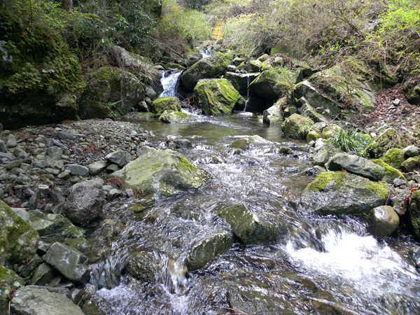 貝塚市近木川の源流