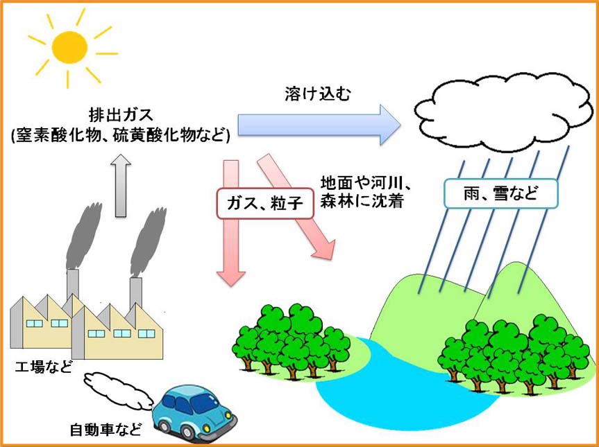 酸性雨のメカニズム