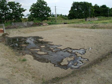 水を入れ始めた田んぼ（6月14日）