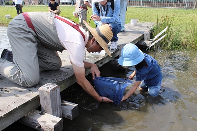 子どもたちと生物採集