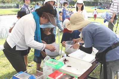 生き物の解説