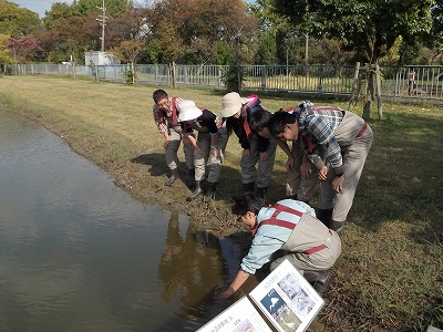 水辺ビオトープ観察