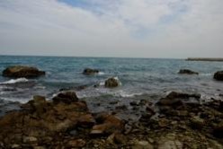 小島自然海浜保全地区（岬町）