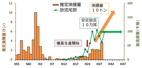 大阪府のあこうの漁獲量と放流尾数