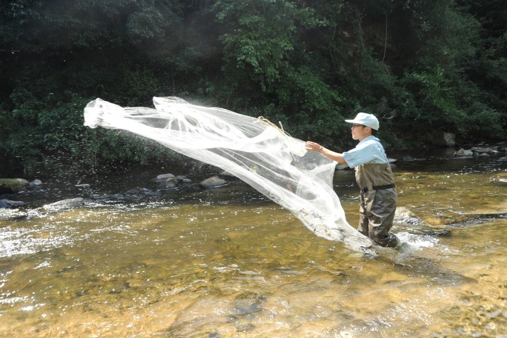 魚類生息状況調査