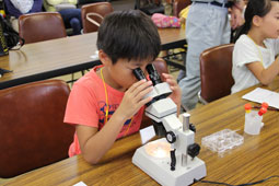顕微鏡観察