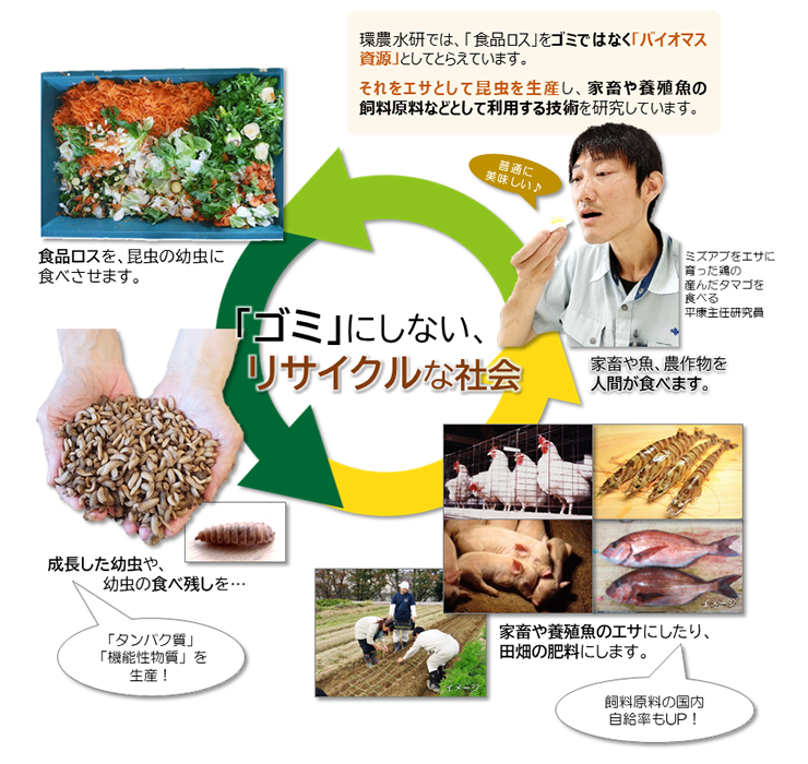環農水研の活動紹介