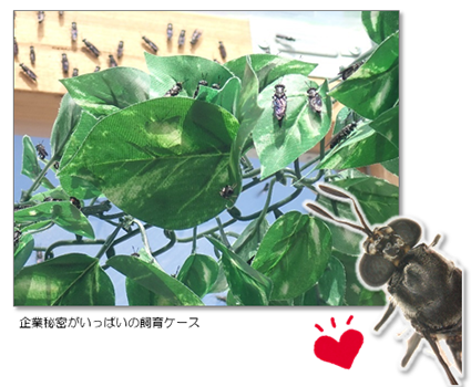 環農水研の活動紹介