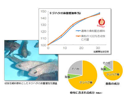 環農水研の活動紹介