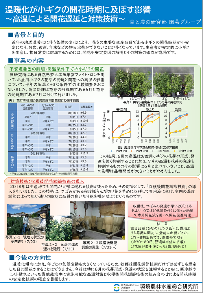 [12]温暖化が小ギクの開花時期に及ぼす影響～高温による開花遅延と対策技術～