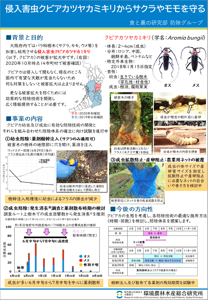 [18]侵入害虫クビアカツヤカミキリからサクラやモモを守る