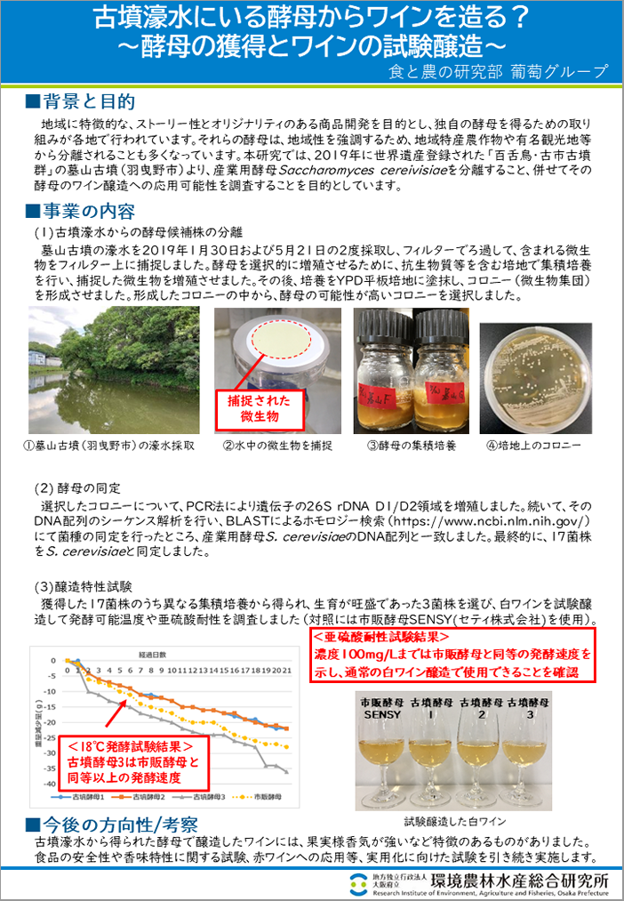 [16]古墳濠水にいる酵母からワインを造る？～酵母の獲得とワインの試験醸造～