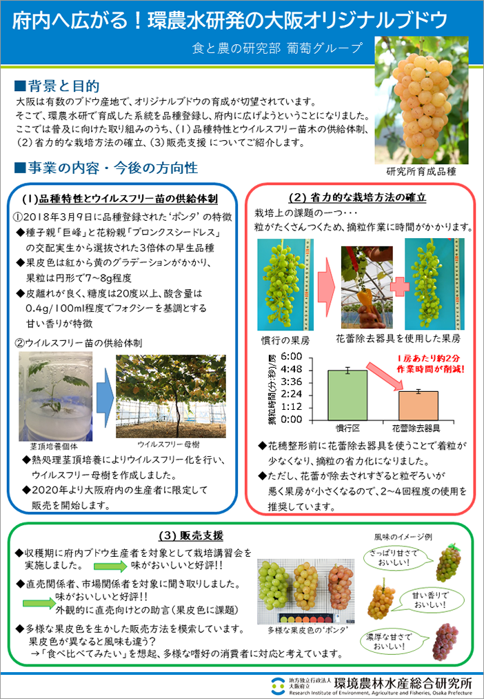 [15]府内へ広がる！環農水研発の大阪オリジナルブドウ