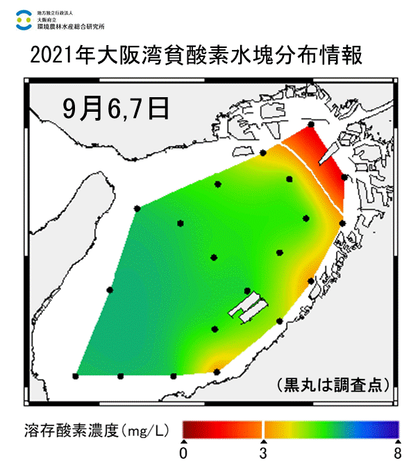 湾奥部で貧酸素水塊が確認された。