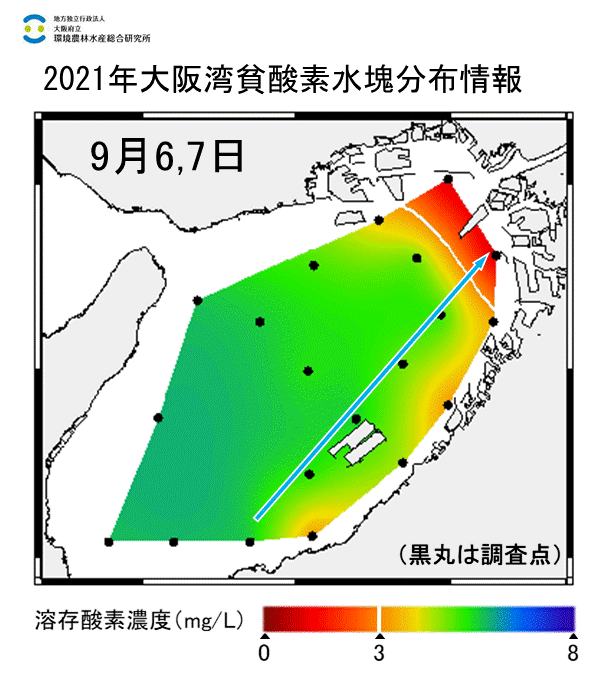 湾奥部で貧酸素水塊が確認された。