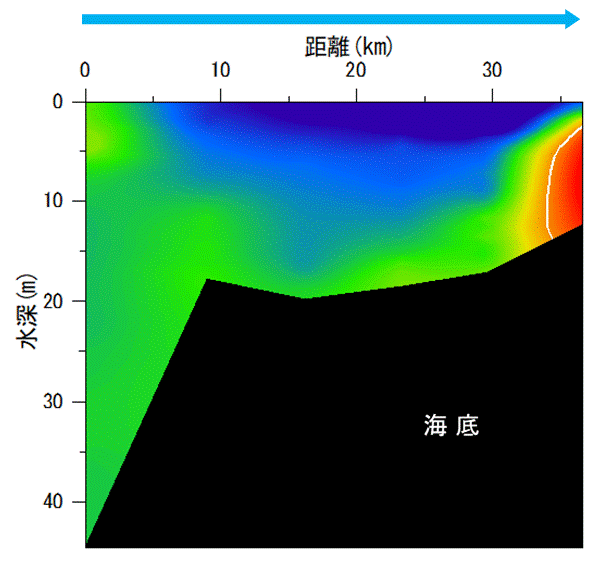 湾奥部で貧酸素水塊が確認された。