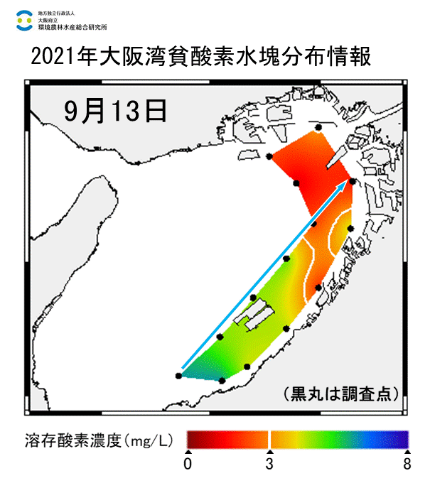 湾奥部で貧酸素水塊が確認された