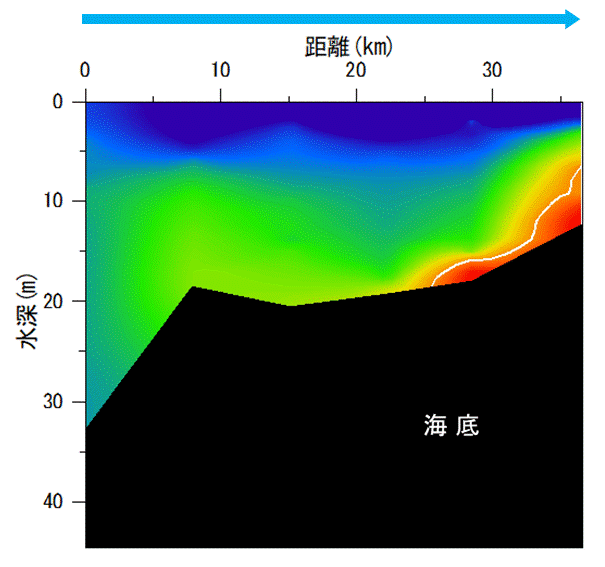 湾奥部で貧酸素水塊が確認された