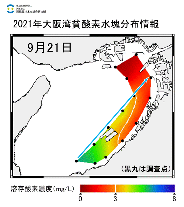 湾奥部、湾東部で貧酸素水塊が確認された