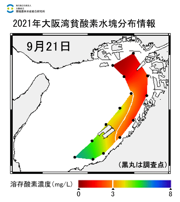 湾奥部、湾東部で貧酸素水塊が確認された