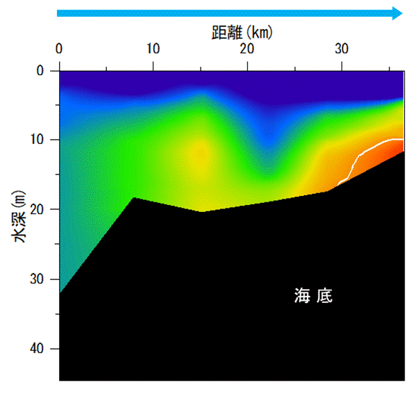 湾奥部、湾東部で貧酸素水塊が確認された