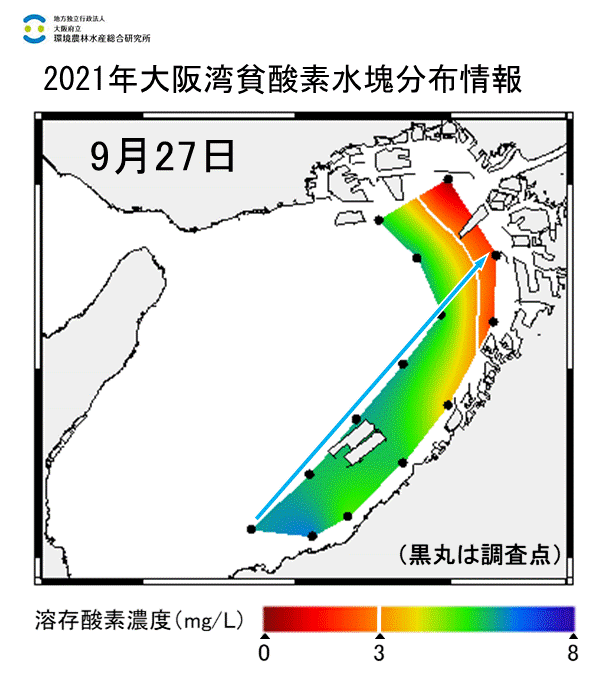 湾奥部で貧酸素水塊が確認された