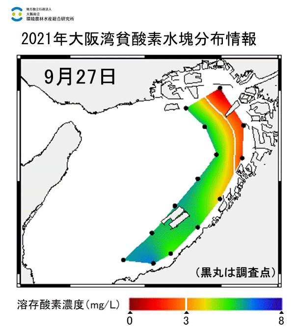 湾奥部で貧酸素水塊が確認された