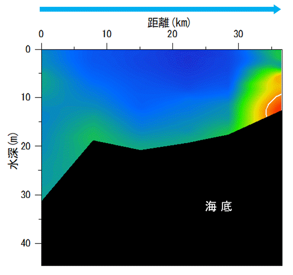 湾奥部で貧酸素水塊が確認された