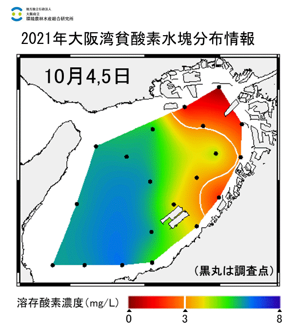 10月4,5日 湾奥部、湾東部で貧酸素水塊が確認された