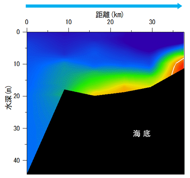 10月4,5日 湾奥部、湾東部で貧酸素水塊が確認された