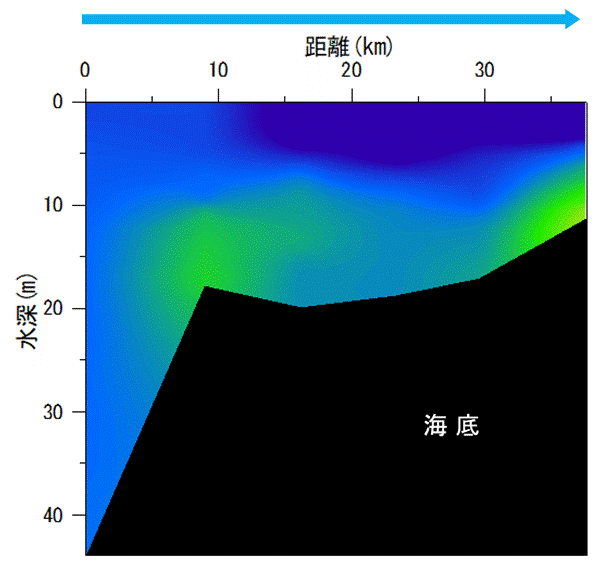 11月1,2日　貧酸素水塊は確認されなかった