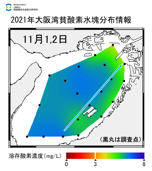 11月1,2日　貧酸素水塊は確認されなかった