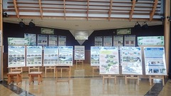 出張展示「知ろう・伝えよう大阪の生物多様性」