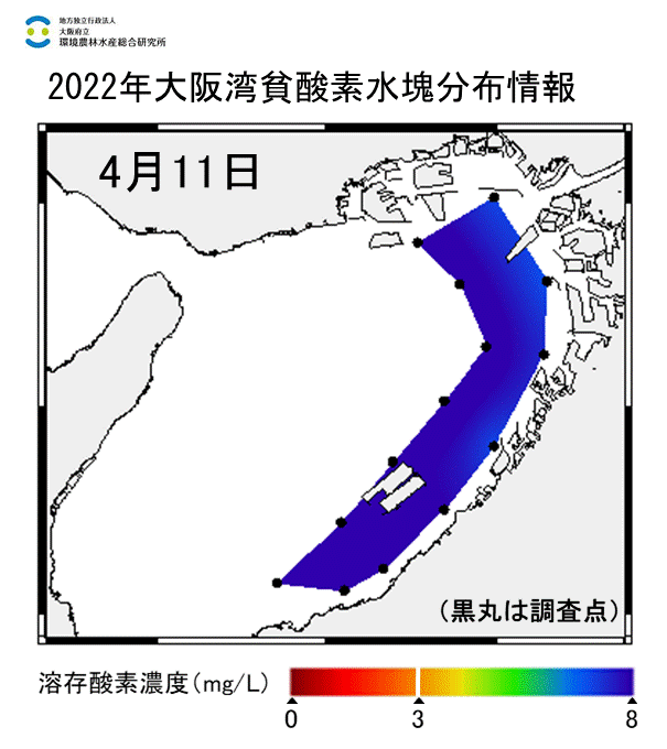 2022年4月11日調査　貧酸素水塊は確認されませんでした。