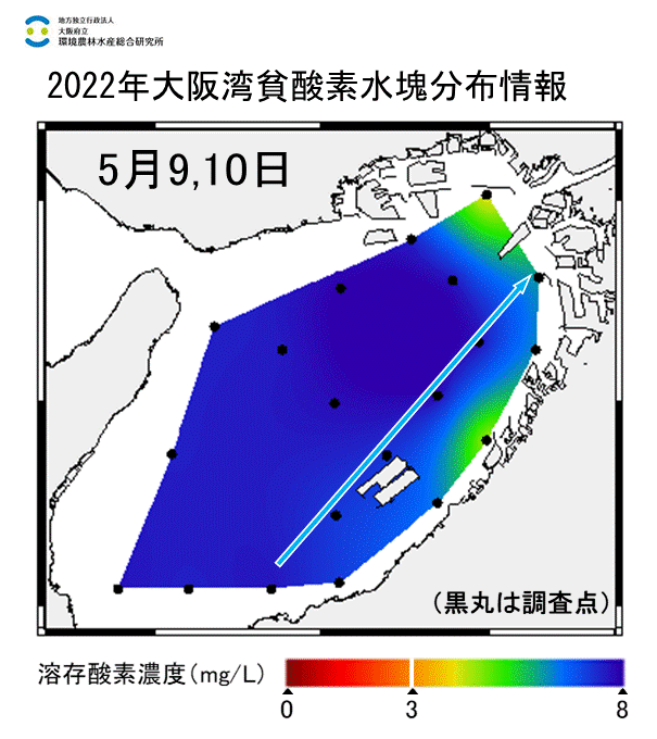 2022年5月9,10日調査　貧酸素水塊は確認されませんでした。