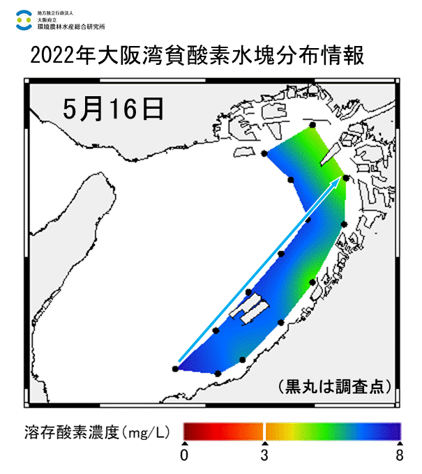 2022年5月16日調査　貧酸素水塊は確認されませんでした