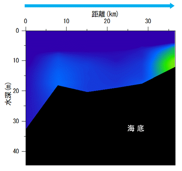 2022年5月16日調査　貧酸素水塊は確認されませんでした