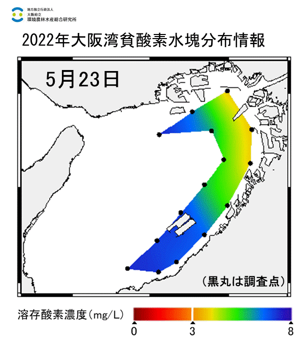 2022年5月23日調査　貧酸素水塊は確認されませんでした