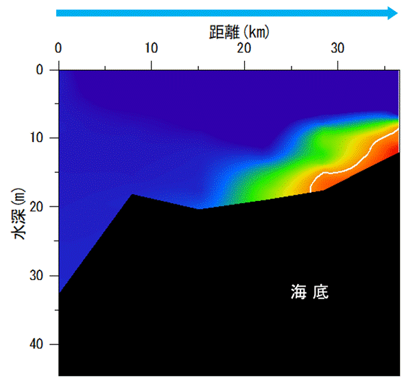 2022年5月30日調査　湾奥部で貧酸素水塊が確認されました。