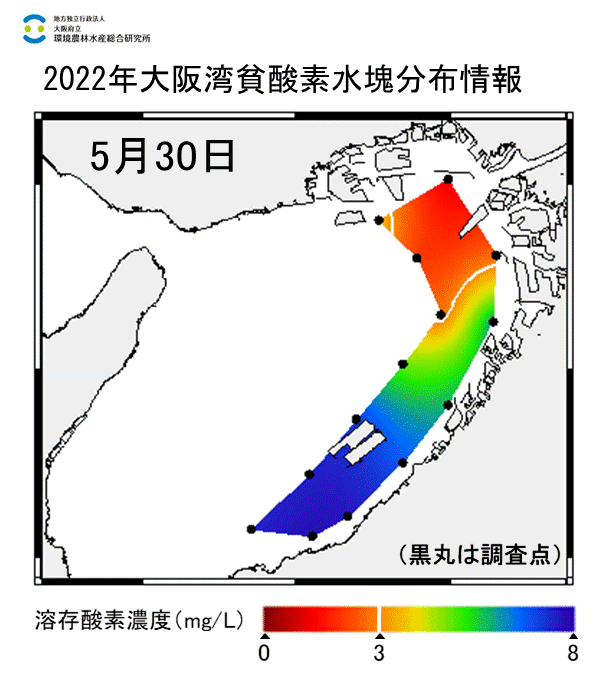 2022年5月30日調査　湾奥部で貧酸素水塊が確認されました。